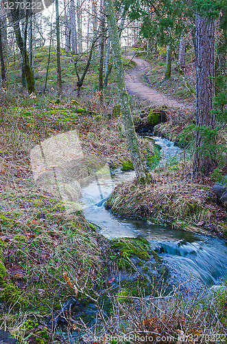 Image of Forest stream