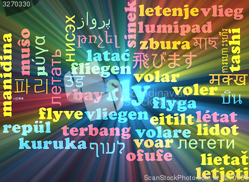 Image of Fly multilanguage wordcloud background concept glowing