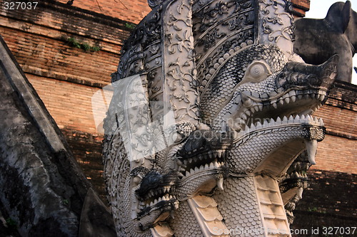 Image of The dragons