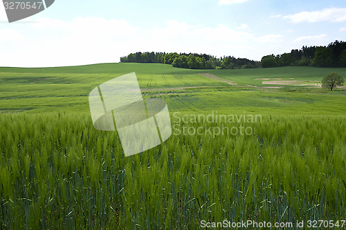 Image of Landscape in the south of Czech Republic