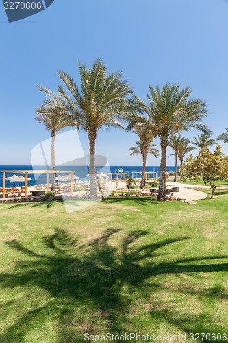 Image of Beach at the luxury hotel, Sharm el Sheikh, Egypt