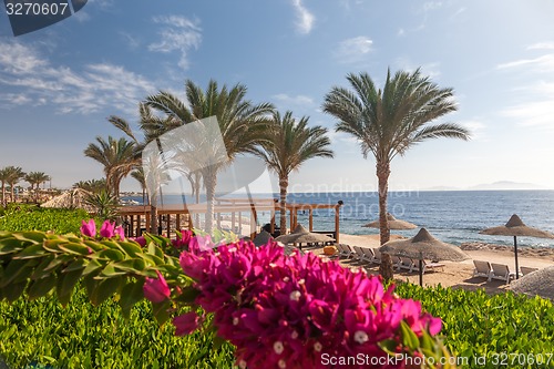 Image of Beach at the luxury hotel, Sharm el Sheikh, Egypt