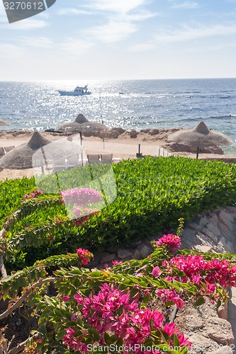 Image of Beach at the luxury hotel, Sharm el Sheikh, Egypt