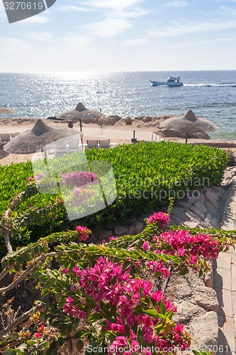 Image of Beach at the luxury hotel, Sharm el Sheikh, Egypt