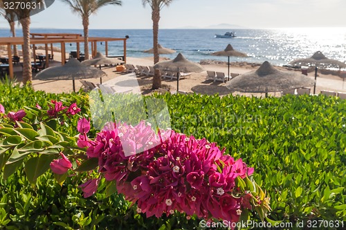 Image of Beach at the luxury hotel, Sharm el Sheikh, Egypt