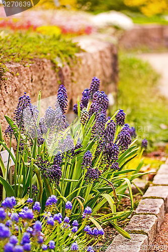 Image of Pearl flowers with a stone ledge