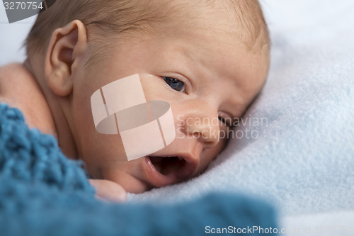 Image of Close up Cute New Born Baby