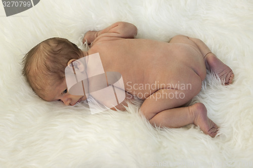 Image of Cute New Born Baby Lying on White Cloth