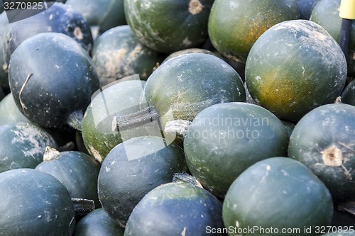 Image of Rondini cucurbita pumpkin pumpkins from autumn harvest