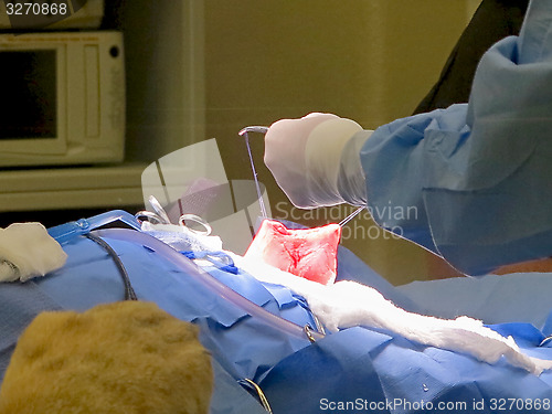 Image of Stomach Suturing