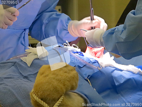 Image of Stomach Suturing