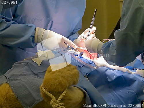 Image of Stomach Suturing