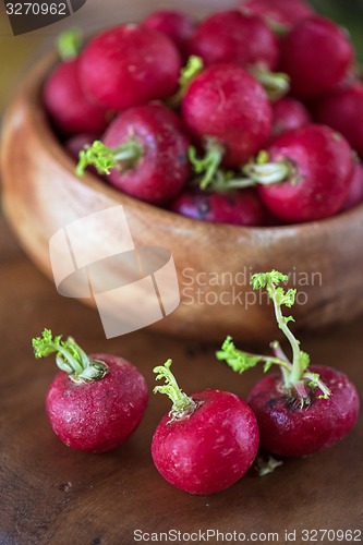 Image of harvest of ripe radish.