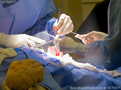 Image of Stomach Suturing