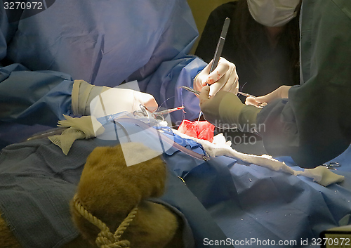 Image of Stomach Suturing