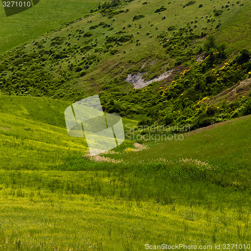 Image of Green valley