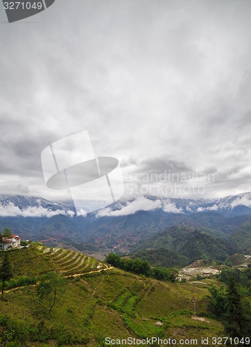 Image of Rice field terraces. Sapa Vietnam