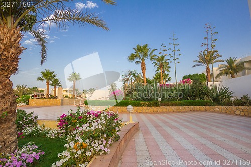 Image of landscape
