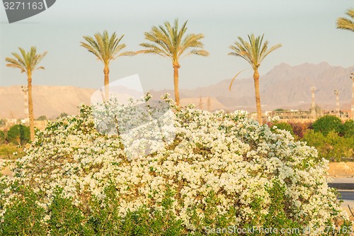 Image of landscape