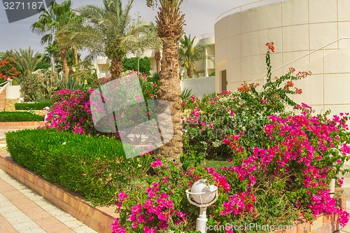 Image of landscape