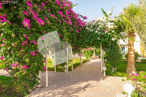 Image of landscape