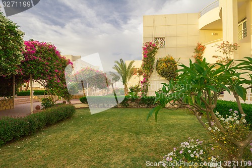 Image of landscape