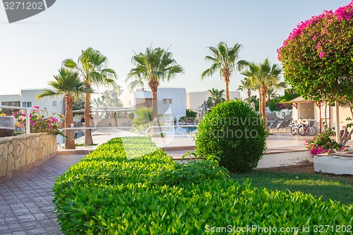 Image of landscape
