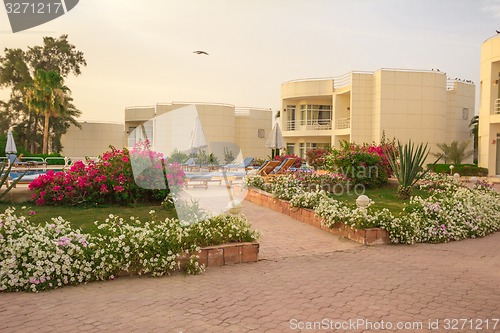 Image of landscape