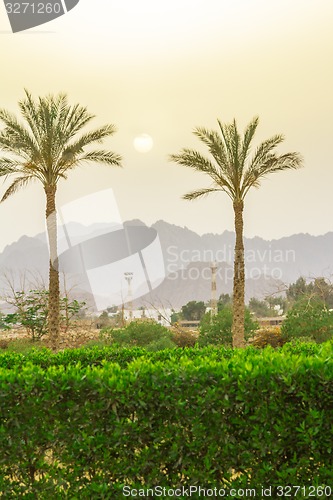 Image of landscape
