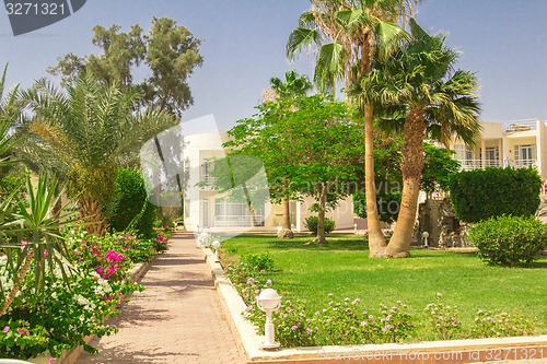 Image of landscape