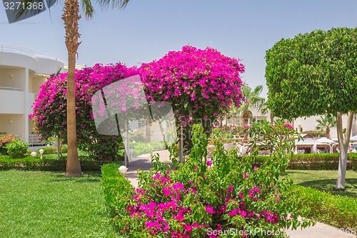 Image of landscape