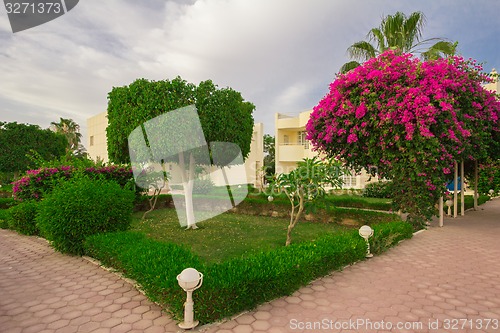 Image of landscape