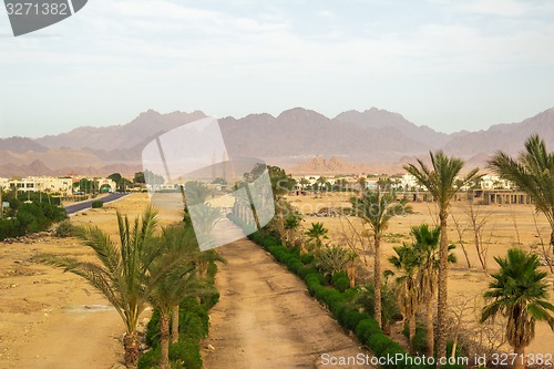 Image of landscape