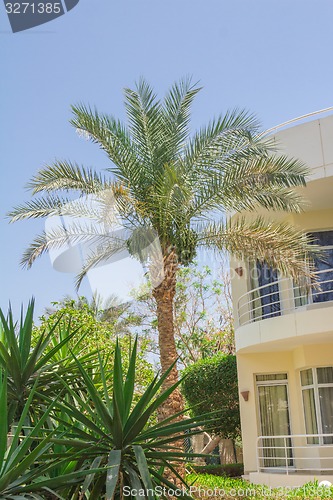 Image of landscape