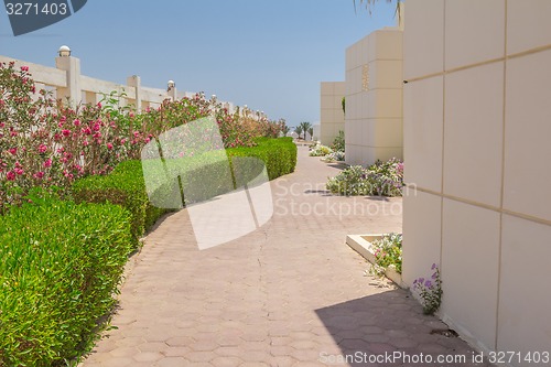 Image of landscape