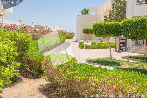 Image of landscape