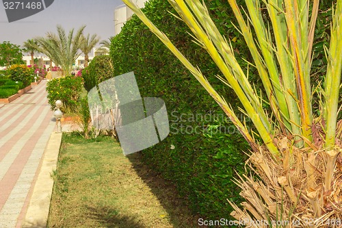Image of landscape