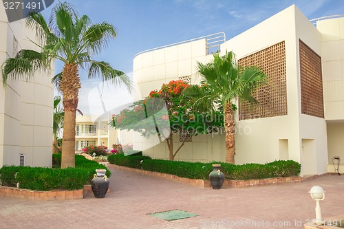 Image of landscape