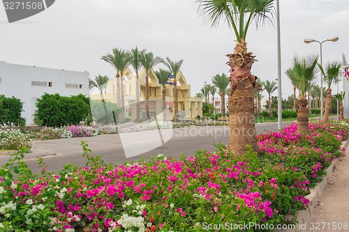 Image of landscape