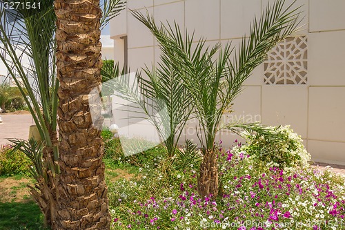 Image of landscape