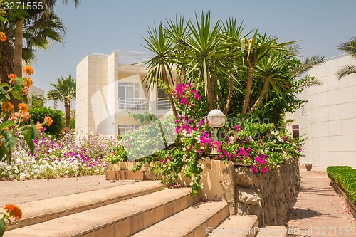 Image of landscape