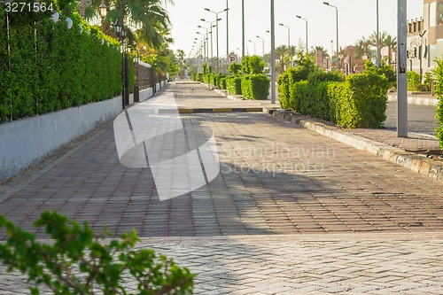 Image of landscape