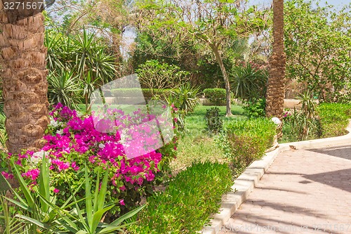 Image of landscape