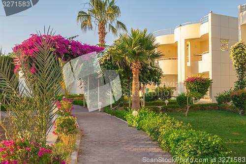 Image of landscape
