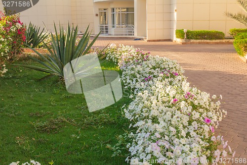 Image of landscape