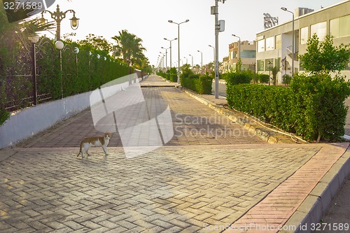Image of landscape