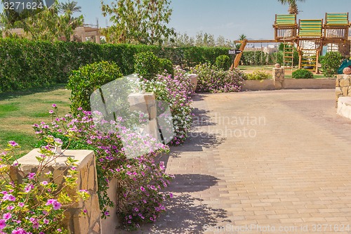 Image of landscape