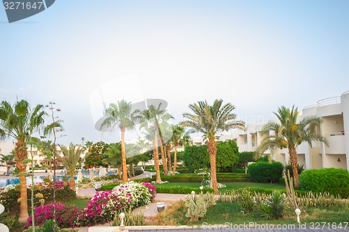 Image of landscape