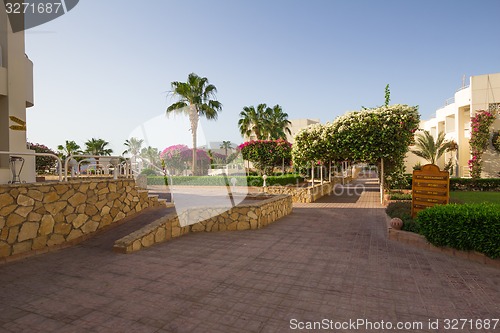Image of landscape