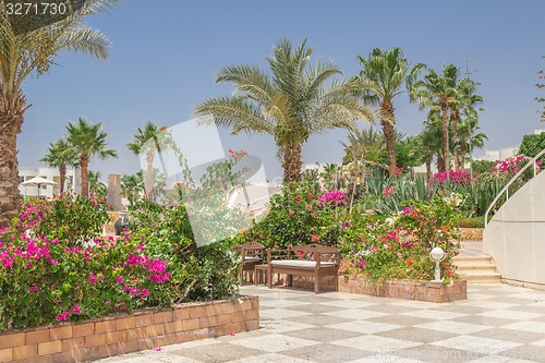 Image of landscape